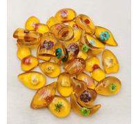 25pcs Fiore Pianta Luminoso Ambra Fossil Pendenti Esemplare Decorazioni Regalo