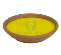 25PZ CITRONELLA GRANDE IN CIOTOLA DI TERRACOTTA Ø CM.16,5X2,5H.: