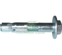 25PZ ELEMATIC TASSELLO T21 12X120 B M10: