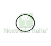 25PZ ORING PER DOSAPHOS 250: