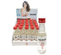 25pz Sambuca Molinari anice stellato bottiglie mignon + espositore 42% vol. 3cl