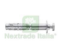 25PZ TASSELLO IN ACCIAIO CON VITE TE ANTINTRUSIONE LE DR Ø MM.8X75: