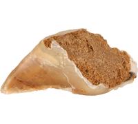 25x Trixie masticatori, pâté di carne 25 x 115 g