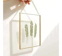 25x20cm Cornici fatte in rame Ottone Appeso Galleggiante Oro Geometrico Ornamento Pianta Esemplare Clip Decorazioni verticali moderne Cartoline Artwork Frame Solo cornice in vetro