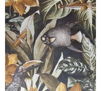 26746 - Tropicale Tucani Libellule Pesce Noce Hohenberger Carta da Parati