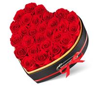 27 Rosa Stabilizzata Vera in Forma Cuore,Rosa Eterna Regalo per Lei Donna Fidanzata Mamma Ragazza,Fiori Stabilizzati Regali San Valentino,Compleanno,Festa Della Mamma,Anniversario(Rosse)