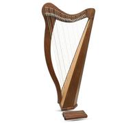 27 string Ard ri arpa noce