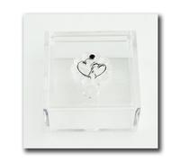 27439 Bomboniere 12pezzi Scatola portagioie in plexiglass Coppia Cuori Cuore Noz