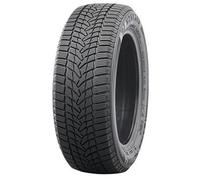 Nankang ICE ACTIVA 2 ( 275/45 R20 110T XL, Nordic compound )