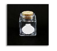 27810 Bomboniere 24pezzi Barattolo in Vetro Icona in Legno Bianco Conchiglia Cap