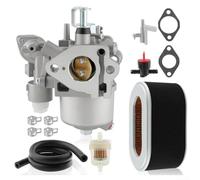 2796230420 Motore a camma ambientale per 9HP 9 5HP con 2796236120 carburatore, promuovendo il funzionamento efficiente e la longevità