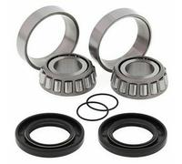 28-1058 KIT CUSCINETTI PERNO FORCELLONE Yamaha XVS650 V-Star 650cc 2001-2003