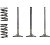 28.SIS2424-2 VALVE AND SPRING INTAKE KIT YAMAHA YFZ 450 RSE SPECIAL EDITION 2015
