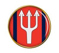 28 Tecnico Regiment, Britannico Militare Spilla