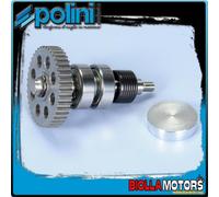 280.0008 KIT REVISIONE POMPA ACQUA POLINI GILERA RUNNER 50 PURE JET INOX