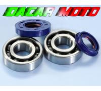 282.0002 KIT REVISIONE ALBERO MOTORE POLINI BSV : AX 50 - JX 50 GZ