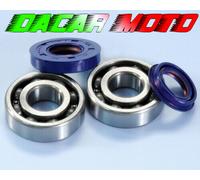 282.0002 KIT REVISIONE ALBERO MOTORE POLINI MALAGUTI F 12 50 PHANTOM R 2007 AIR