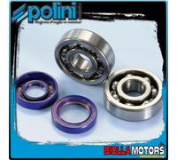 282.0003 KIT CUSCINETTI PARAOLI ALBERO POLINI MALAGUTI DRAKON 50 17-47-14 C4 ACC