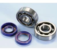 282.0003 KIT REVISIONE ALBERO MOTORE POLINI HM DERAPAGE 50 2003-05 Minarelli AM6