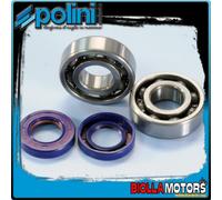 282.0004 KIT CUSCINETTI PARAOLI ALBERO POLINI DERBI GPR 50 racing dal 2006-> (DE