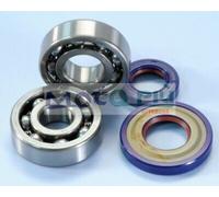 282.0005 Kit Revisione Albero Motore Polini per Vespa 50/125 Cono Ø19mm