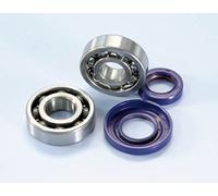 282.0006 KIT CUSCINETTI ALBERO MOTORE POLINI APE VESPA 50/125 SPECIAL ET3 PK XL CONO 20