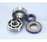 2820005 - KIT REVISIONE BANCO CUSCINETTI E PARAOLI VESPA 50-125 CONO 19