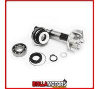 282034 KIT REVISIONE POMPA ACQUA DAELIM S3 Advance / S300 250CC 2013/2015