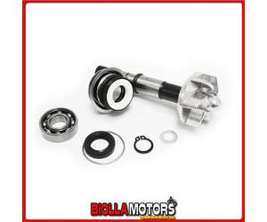 282034 KIT REVISIONE POMPA ACQUA DAELIM S3 Advance / S300 250CC 2013/2015