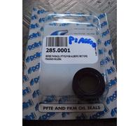 285.0001 SERIE PARAOLI MOTORE POLINI SCOOTER PIAGGIO & GILERA TUTTI (2T)