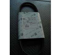 288724 CINGHIA ALTERNATORE PIAGGIO POKER TUTTI (ORIGINALE PIAGGIO)