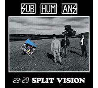 29:29 Split Vision