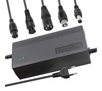 29.4V 5A Caricabatterie agli Li-ion Spine multiple Compatibile con Dream i-100 All Star Superfly Ranger, Astro Turbo Sypher Adattatore di alimentazione PowerFast 24V 7S