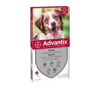 29086 Q.TA' 1 ADVANTIX SPOT ON 4 PIPETTE CANI 10-25 KG