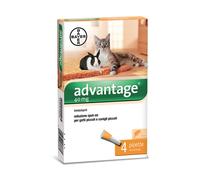 29089 Q.TA' 1 ADVANTAGE SPOT ON 40 GATTI FINO A 4 KG
