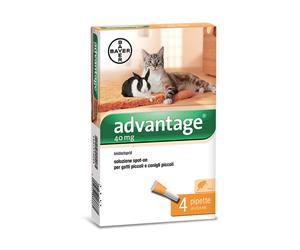29089 Q.TA' 1 ADVANTAGE SPOT ON 40 GATTI FINO A 4 KG