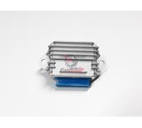 2940165-2 2940165 REGOLATORE DI TENSIONE ORIGINALE PIAGGIO APE FL3 EUROPA 50 ...
