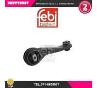 29510 Sospensione, Motore (FEBI)