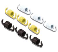 297456 Set Molle frizione MALOSSI Sport/Morini, Italjet Formula 50
