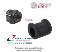 BIRTH 2993 Supporto braccio oscillante