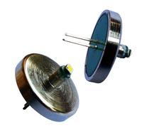 2AAA LED Compatibile per Mini Maglite Torcia Ricambio Lampada Bianco Freddo [EEK: F]