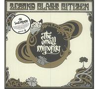 2econd Class Citizen - Small Minority (2 LP)