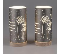 2er Set LED Lampada da Tavolo Decorazione Luci con Detto H.20cm Vetro con Timer [EEK: G]