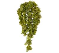 2er Set Muschio Islanda da Appendere 36cm, Verde, Plastica Infiammabile