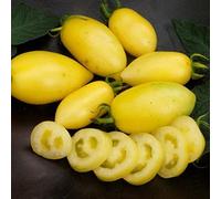 2g / 40 i semi di pomodoro Crema di salsiccia