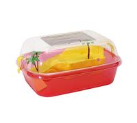 2gr Box Tartarughiera Completa Daffy cm 44 x 34 cm.20, in Plastica, Colori Assortiti