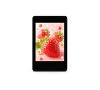 2inch IPS Capacitive Touch LCD Module, 240x320 ST7789T3 SPI Display with CST816D I2C Touch, TF Card Slot, 3.3V/5V, for Raspberry Pi Pico Arduino ESP32