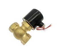 2L-25 Valvola Di Controllo Del Fluido Ad Alta Temperatura For Vapore Ad Alta Pressione Elettrovalvola For Vapore Acqueo 2L-08/10/15/20/25/35/40/50(2L-15,AC24V)