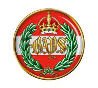 2nd Dragoon Protezioni Il Queen's Bays, Britannico Militare Spilla