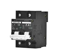 2P 100A 125A 150A DC100V 150V 250V 500V 1000V Interruttore automatico di tensione Curva C Pannello solare Protezione da cortocircuito(2P DC260-500V,100A)